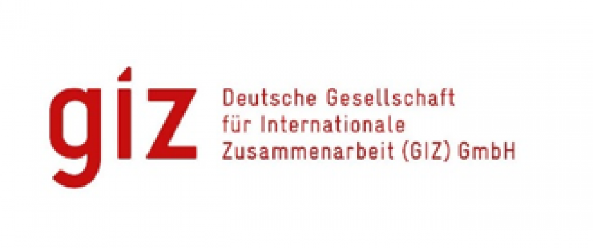 Technical Intern (m/f/d) in the Sustainable Energy Project Development