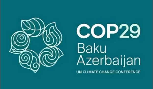 Unlocking the Potential of Carbon Finance for Clean Cooking in Displacement Settings