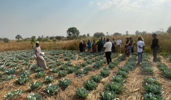 Driving Sustainable Energy Solutions in the Humanitarian Sector: Insights from Humanitarian Energy Ecosystem Building in Uganda 